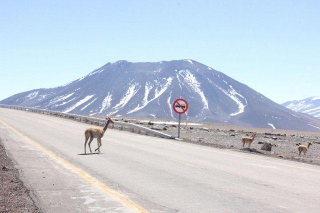 Mototurismo põe Campo Grande no ponto de partida da Rota Bioceânica