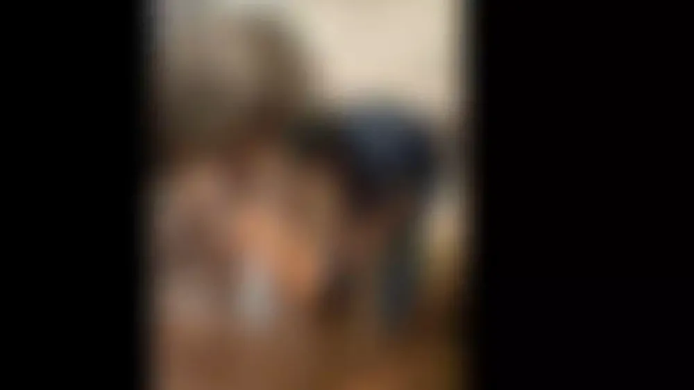 VÍDEO: Empresários fizeram adolescente se ajoelhar para filmar abuso com animal em MS