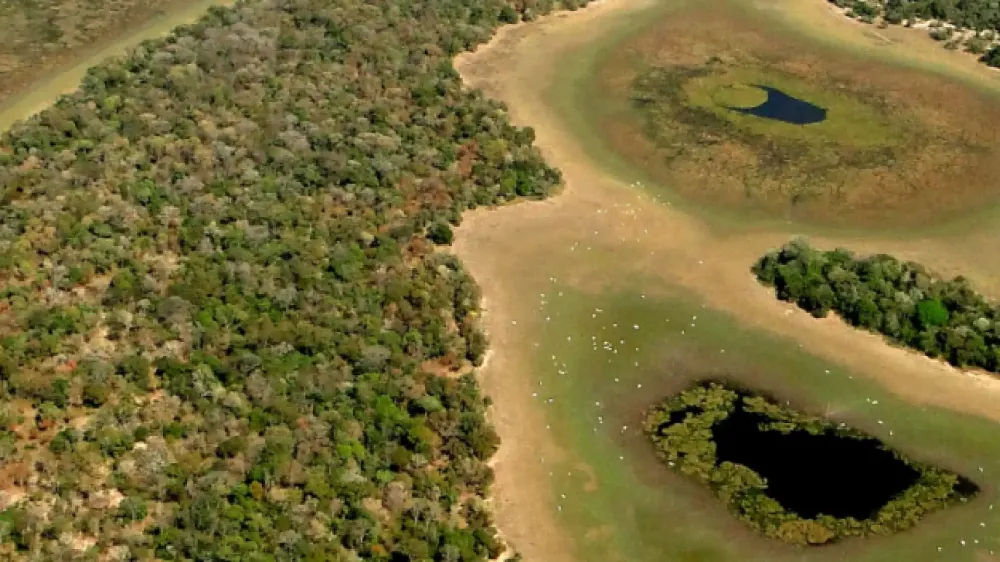 Para receber recursos do PSA, produtores do Pantanal devem se inscrever em edital