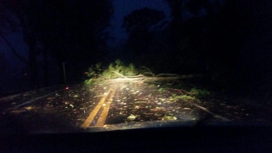 Em Bela Vista, temporal com chuva de granizo deixa bairros sem energia e causa estragos em residências