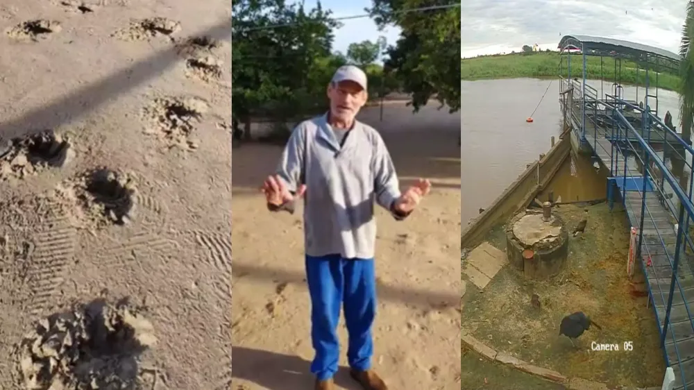 ‘Onça comeu o caseiro’: denúncia sobre ataque leva helicóptero da PMA ao Pantanal