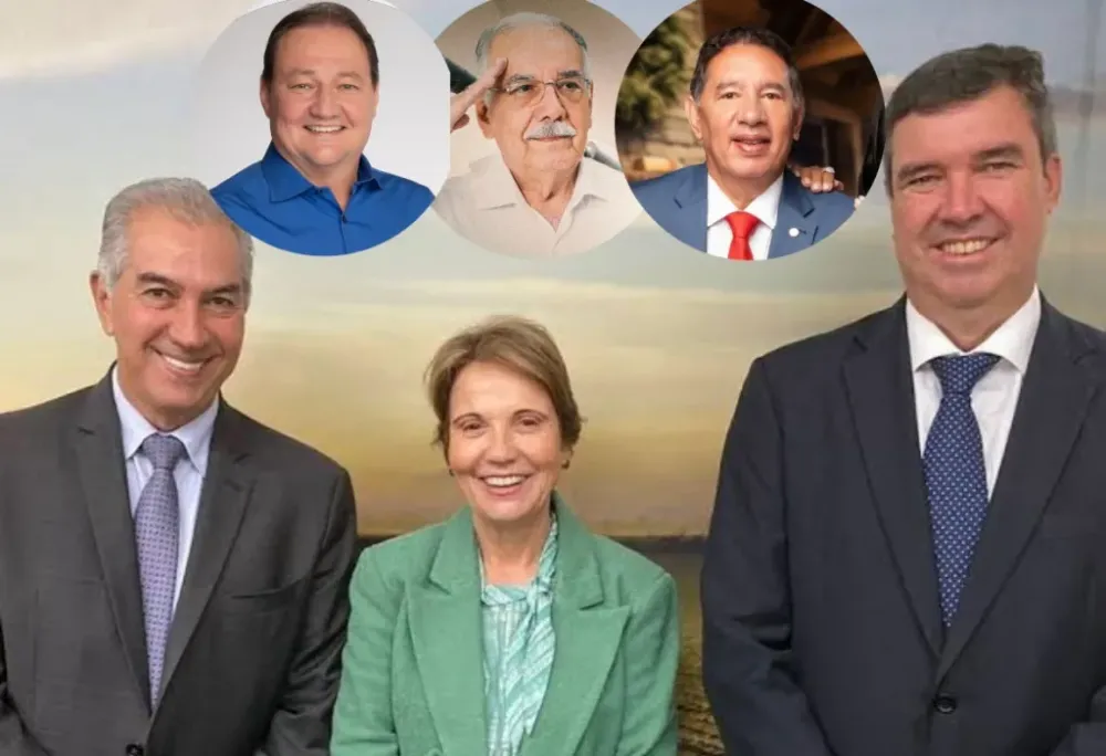 Tereza vai avaliar pesquisas e brigará por candidatura do PP ao Senado ‘até o último minuto’