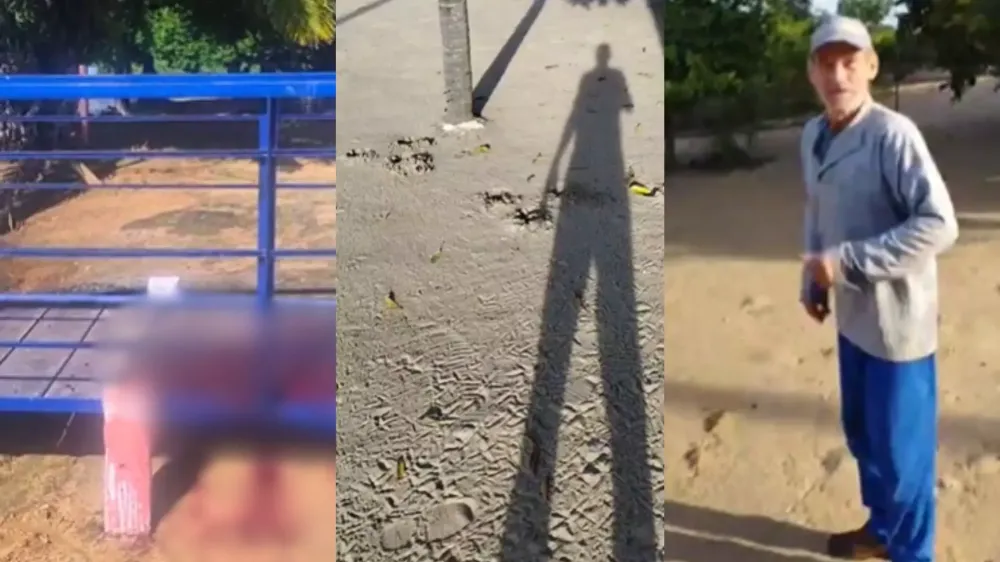 Restos mortais de caseiro atacado por onça são encontrados no Pantanal