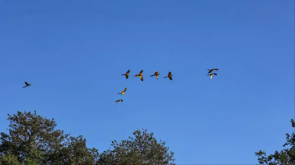 Calorão e tempo seco sem trégua em Mato Grosso do Sul nesta quinta-feira