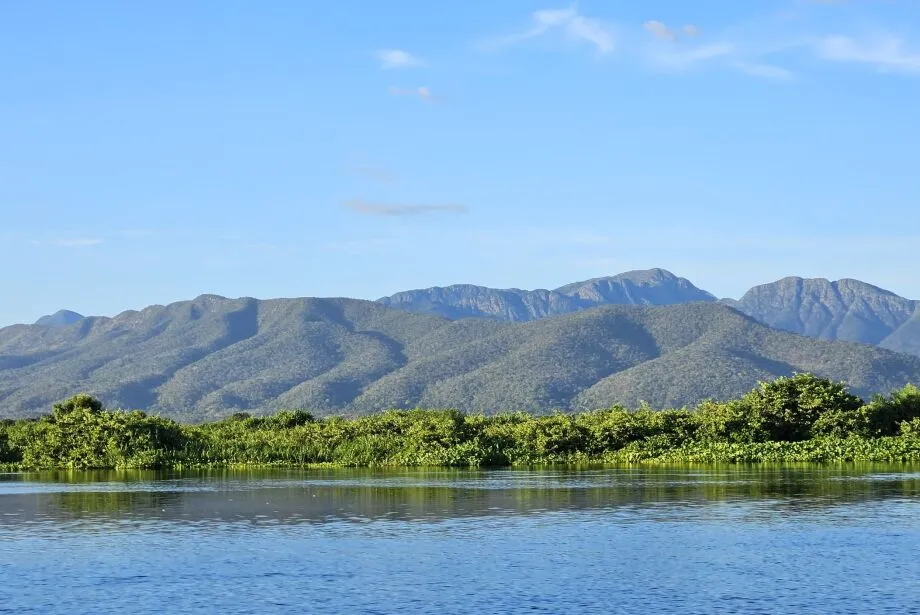 Lei do Pantanal fez desmatamentos caírem pela metade no bioma de MS