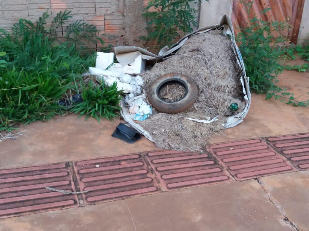 Criadouros do Aedes se espalham pela capital