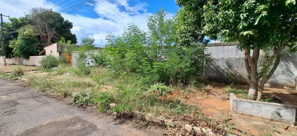 Saúde de Jardim multa proprietários de lotes abandonados por risco à proliferação da dengue