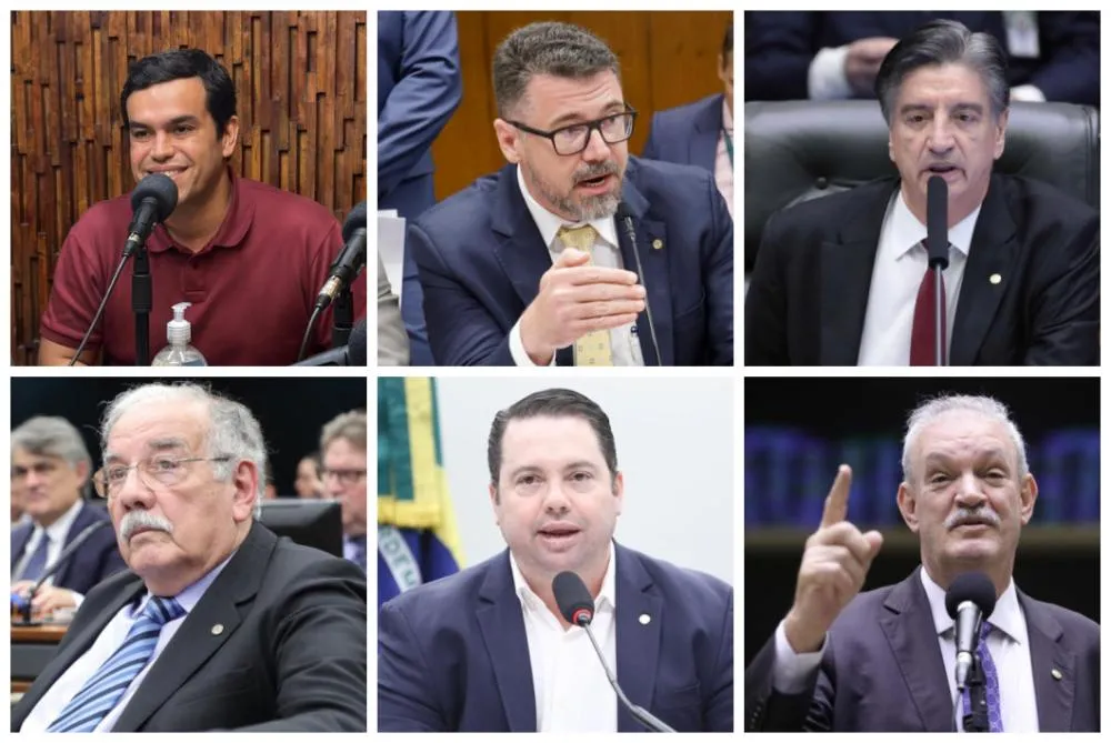Seis deputados federais votam para derrubar aumento do IOF; só Vander e Camila são contra
