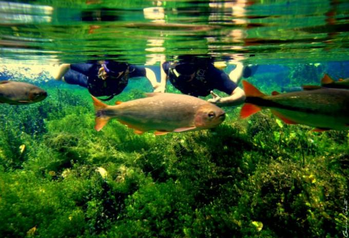 Bonito e Pantanal receberão investimento para ações de fomento ao turismo