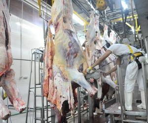 Abates crescem 2,9% no primeiro trimestre em MS