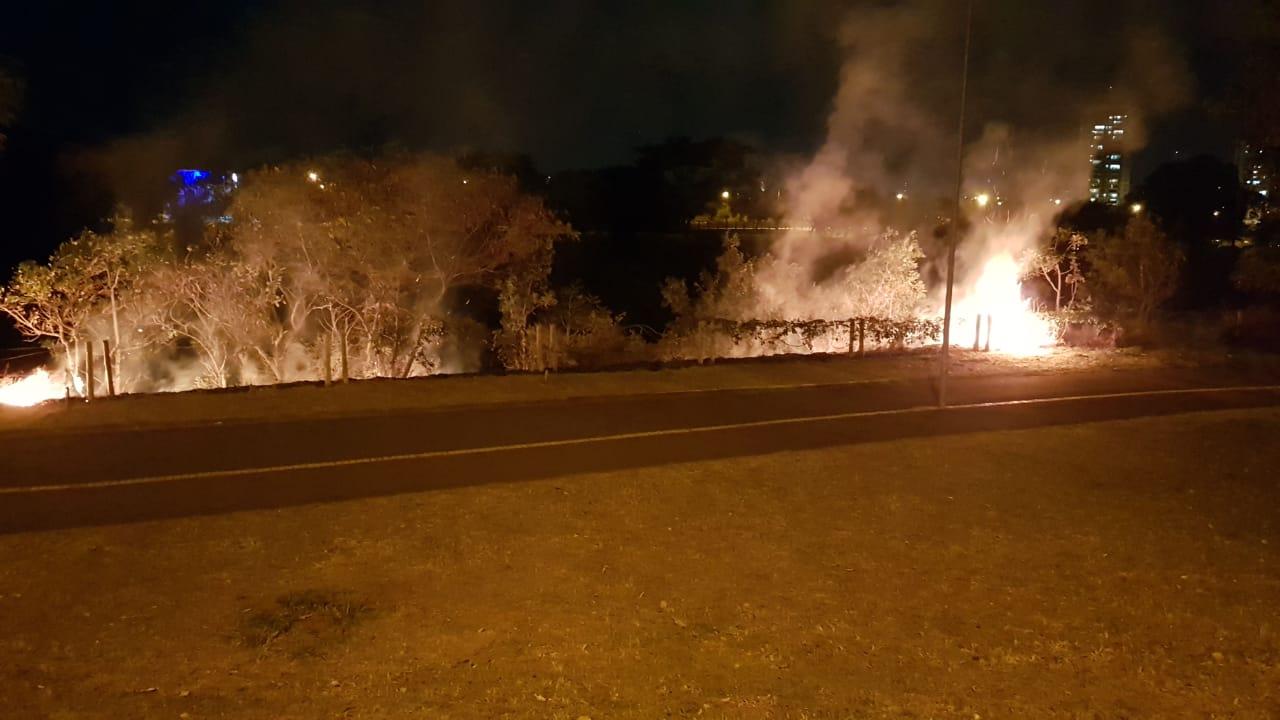 VEJA: Incêndio no parque do Soter mobiliza bombeiros