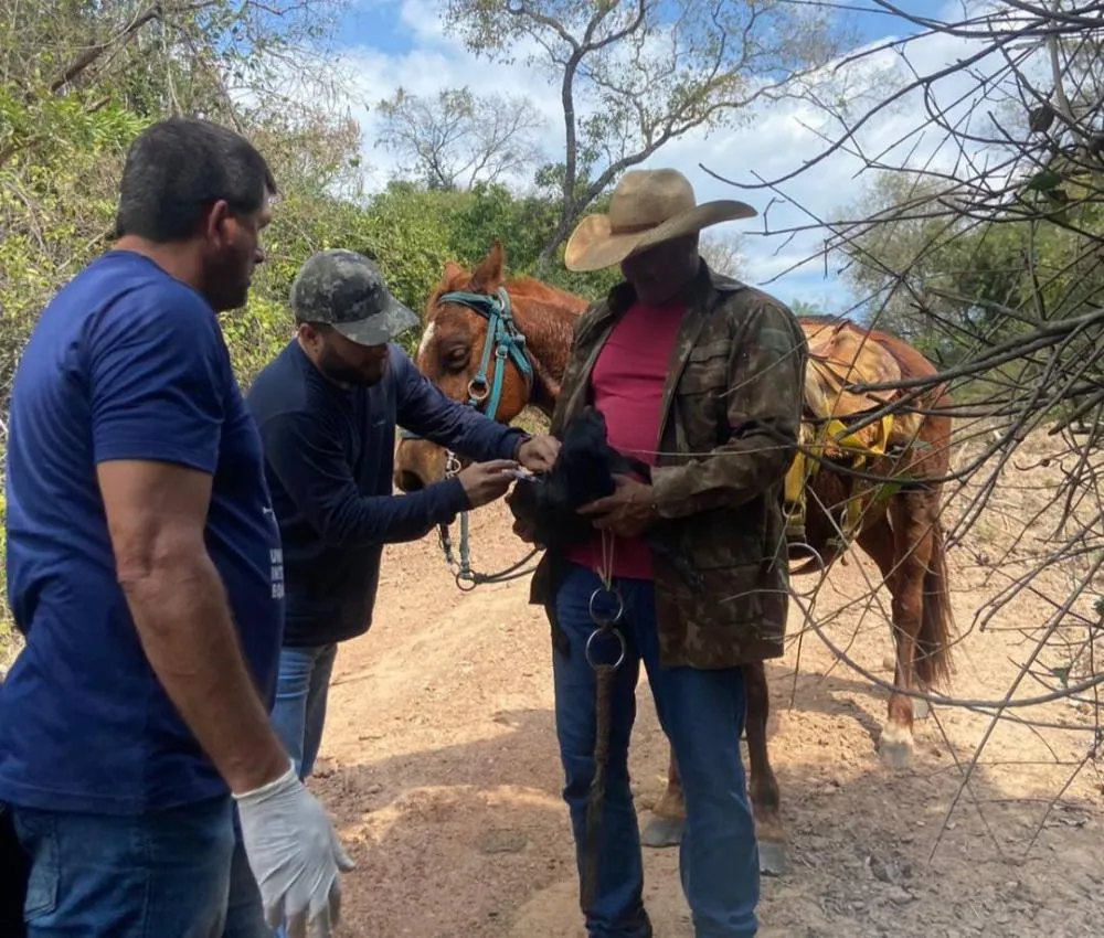 Vacinação antirrábica percorre zona rural de Jardim