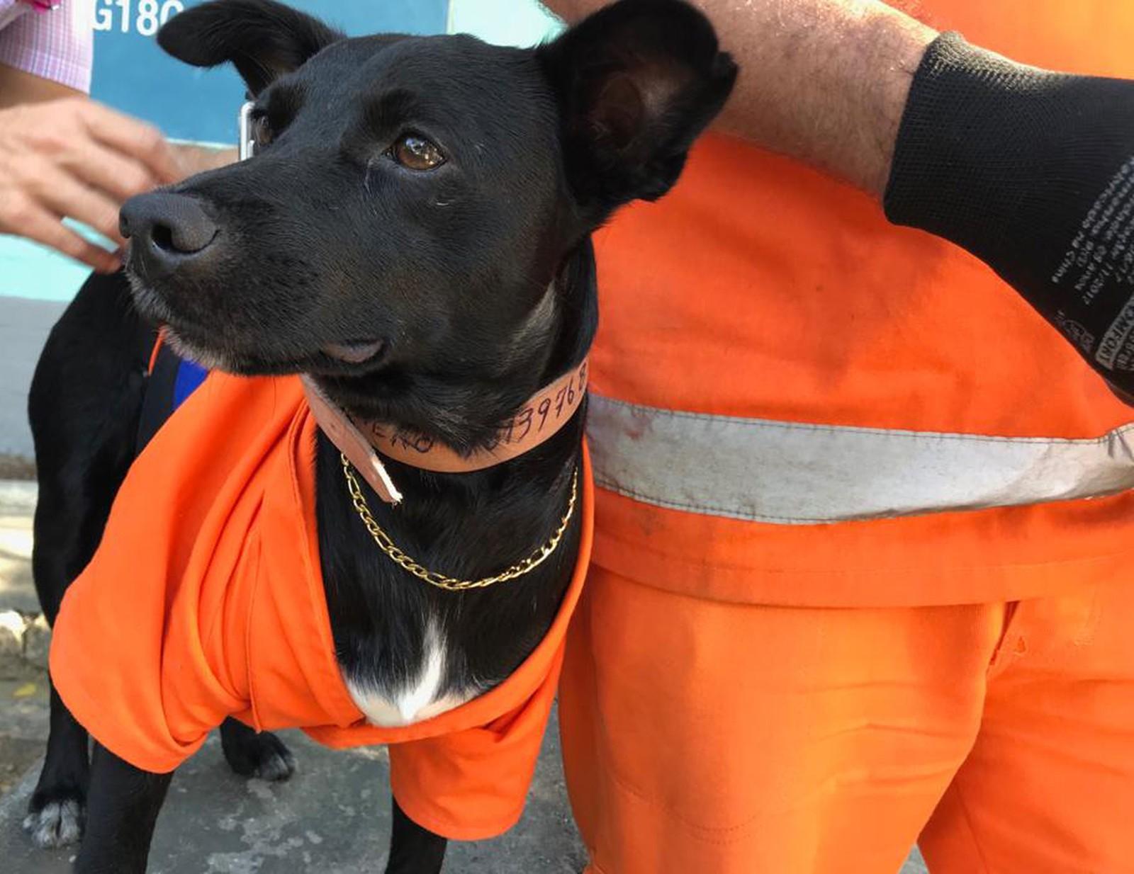 Gari e cão uniformizados fazem sucesso na limpeza de ruas da Zona Oeste do Rio