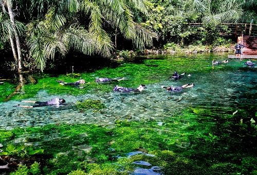 Enquanto se discute a água, flutuação lidera visitas em Bonito