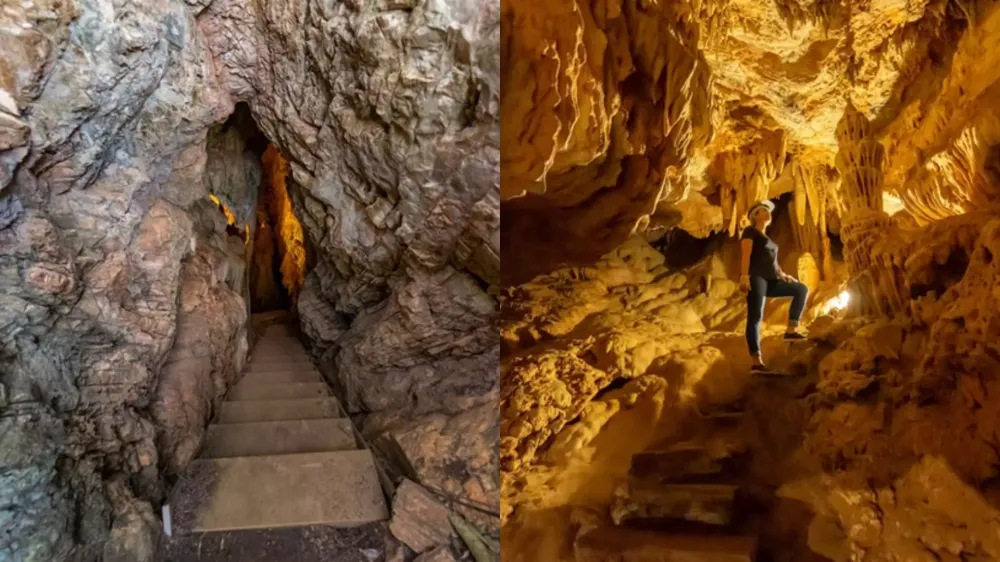 Cobras são retiradas de gruta turística entre as mais visitadas de MS ‘por segurança’