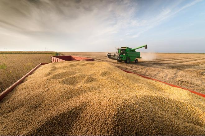 Produção de grãos do país bate recorde de 273 milhões de toneladas