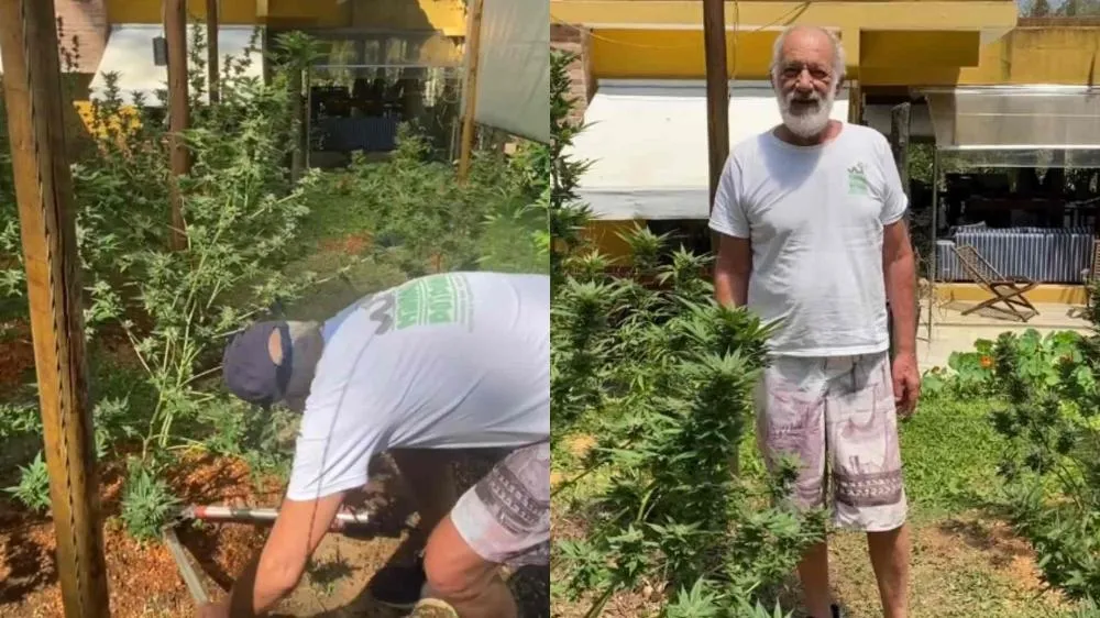 Ex-ator da Globo é denunciado por plantação de maconha em casa: ‘Tem mesmo, entrem’