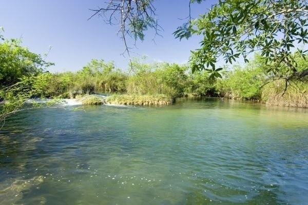 Rios de Bonito têm mais de 7 mil hectares de mata ciliar degradada