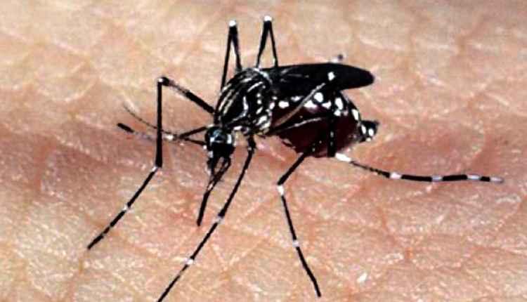 MS institui novembro como ‘mês de enfrentamento’ à dengue