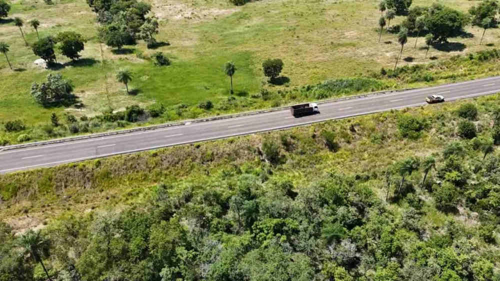 Rodovia estadual. (Chico Ribeiro, Seilog)