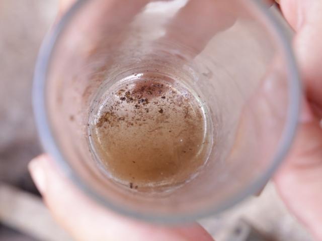 Capital terá fábrica de mosquito 