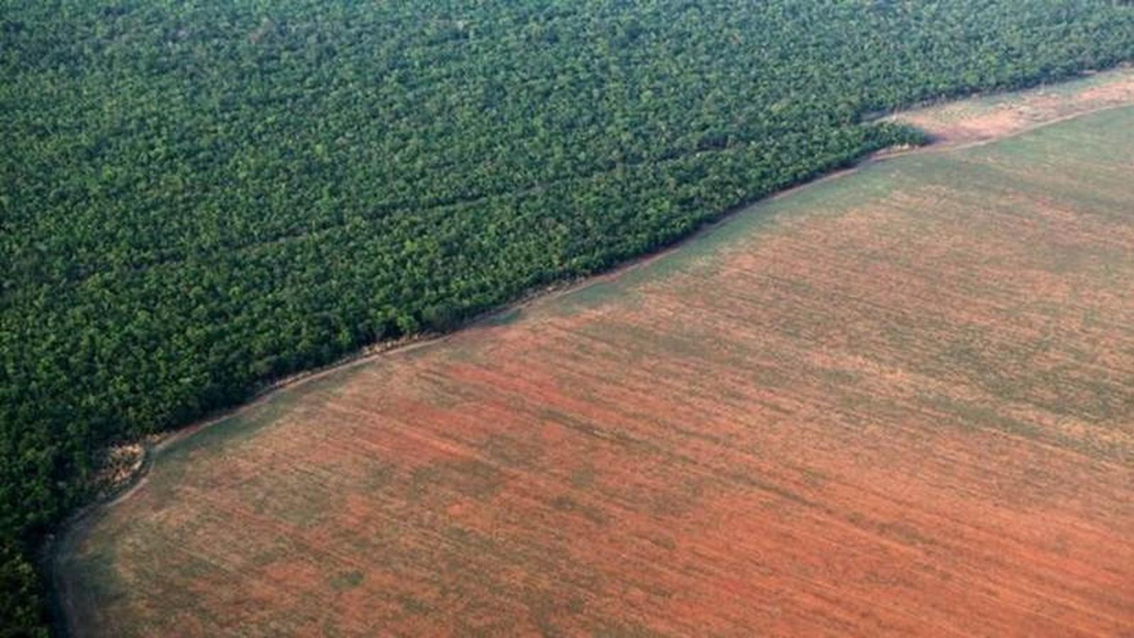 Alemães vão suspender investimento na Amazônia