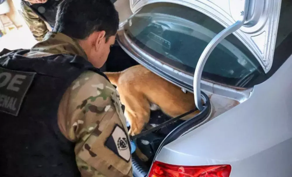 Quadrilha usava tabacarias como fachada para movimentar 36 toneladas de drogas