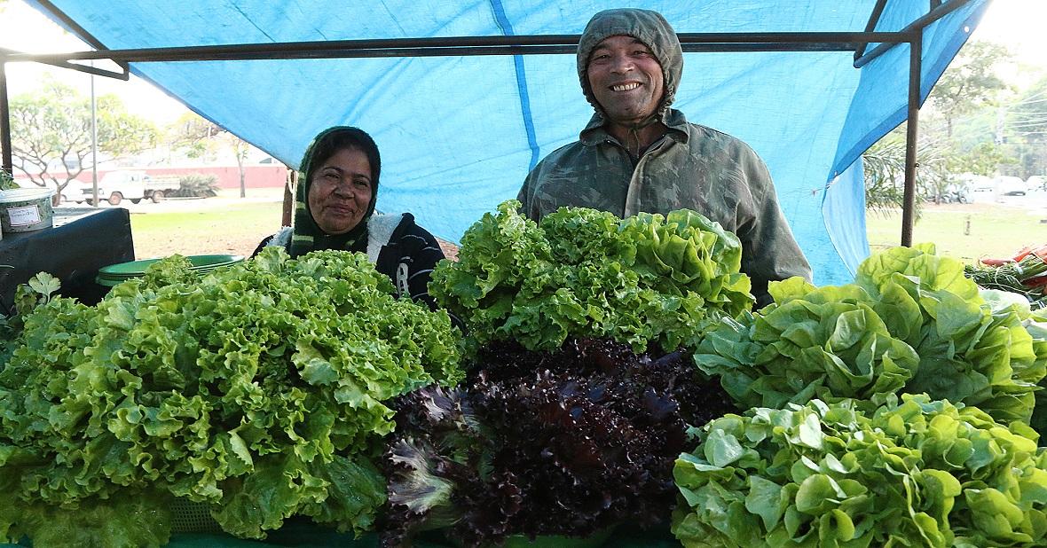 Agricultura familiar estimula consumo sustentável e fortalece economia regional