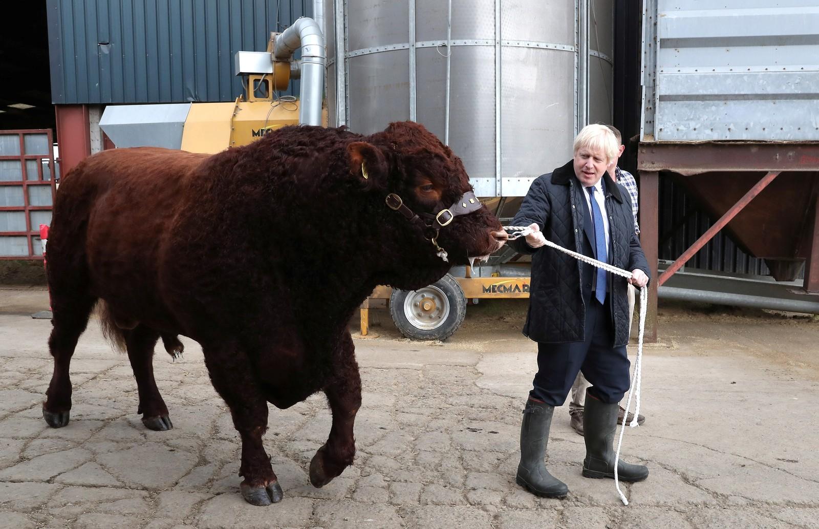Boris Johnson em clima de campanha eleitoral apesar da oposição do Parlamento