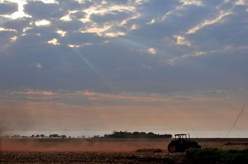 Estiagem poderá atrasar o plantio da soja em MS