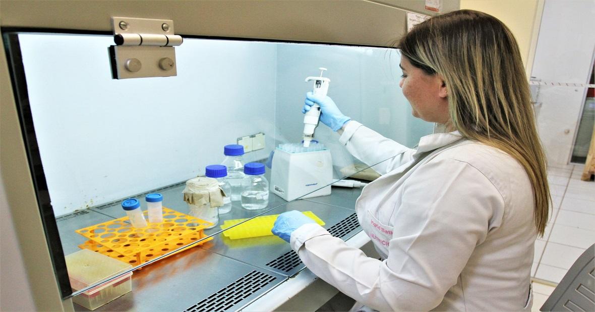 Estado é referência mundial em biotecnologia agropecuária