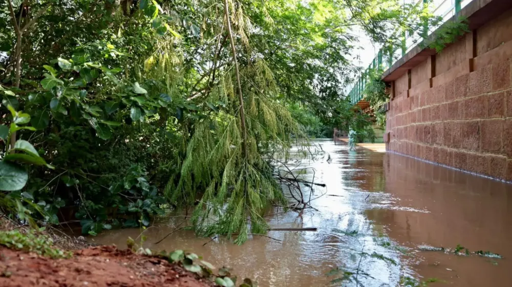 Volume de chuvas em Rio Negro e Aquidauana causa interdição total da BR-419/MS
