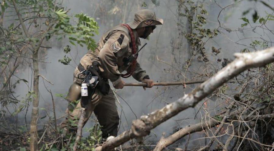 Força-tarefa intensifica combate às queimadas no Pantanal