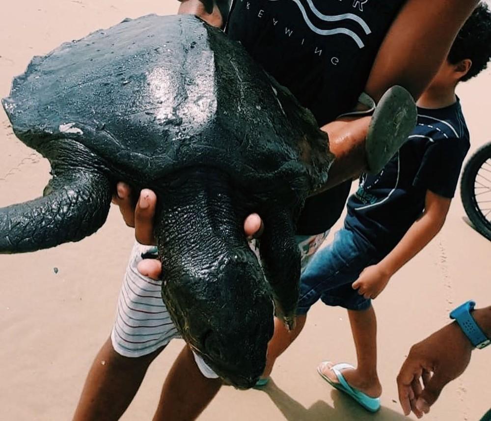 Óleo que apareceu no Nordeste não é do Brasil, diz Ibama