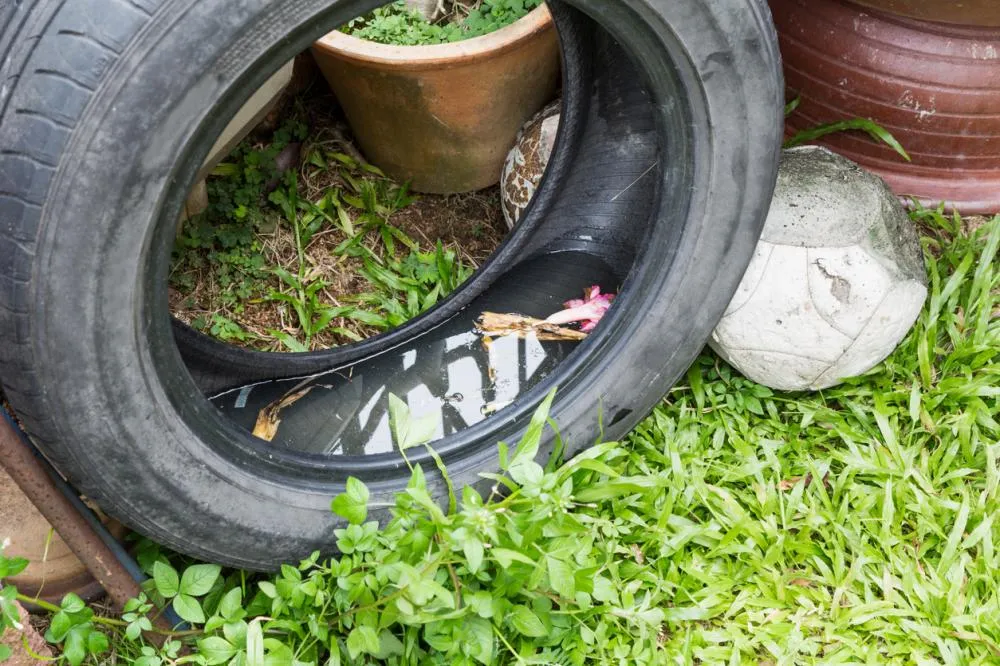 Em tom de alerta, Antônio João intensifica campanha contra a dengue e doenças sazonais