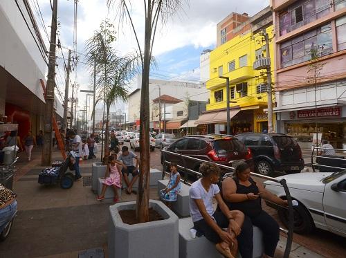 Árvores nativas e exóticas marcam nova Rua 14 de Julho