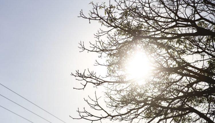 11 municípios de MS registram sensação acima dos 42°C