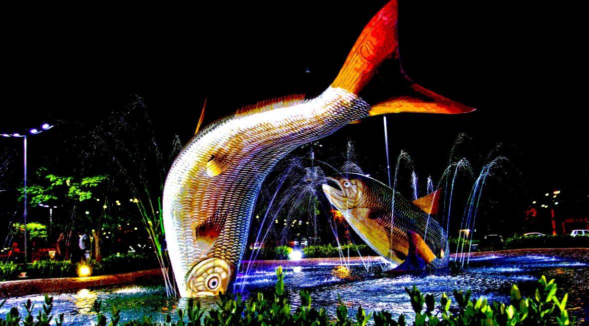 MS 42 ANOS – O binônimo Bonito/Pantanal … de mergulhos a cavalgadas