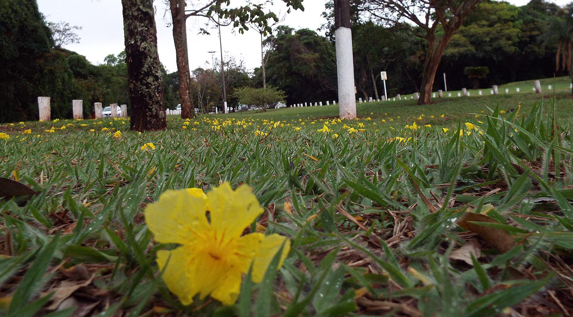 Sábado de tempo parcialmente nublado e calor no Estado