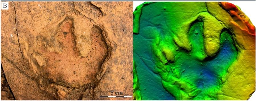Pesquisadores acham pegadas de dinossauros em rochas de Nioaque