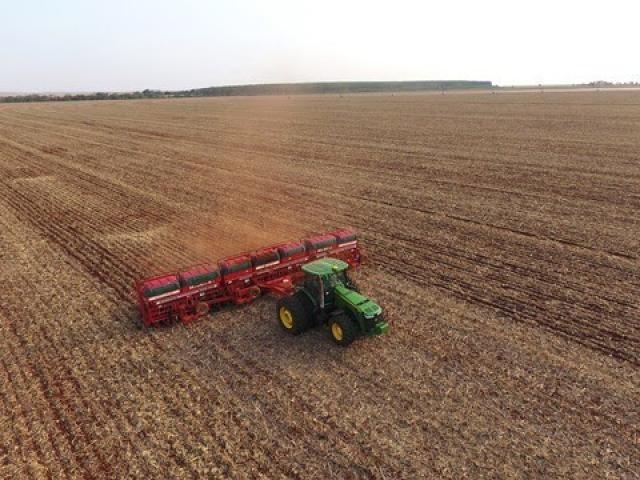 Plantio da soja chega a 60,3% da área em MS com atraso em relação a 2018