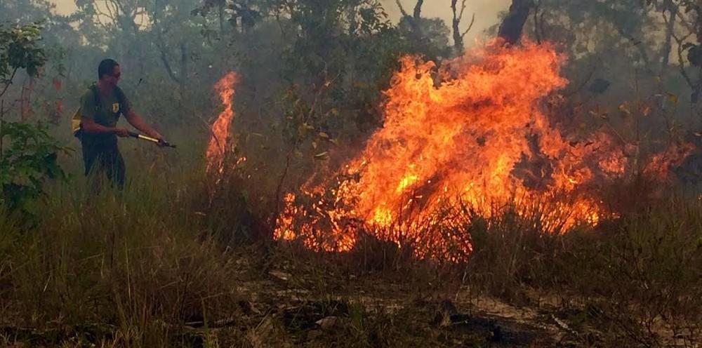 Brigadistas são presos suspeitos de causar incêndio no Pará
