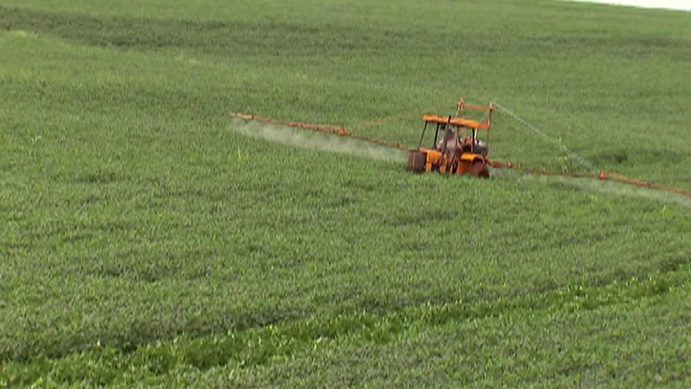 Número de agrotóxicos registrados em 2019