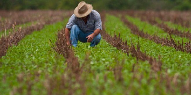 Termina hoje prazo para aderir ao Refis Rural