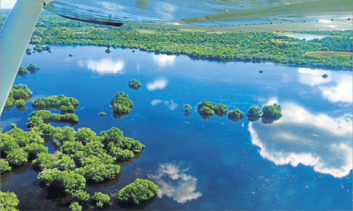 Cada vez mais intensas, chuvas assustam pantaneiros