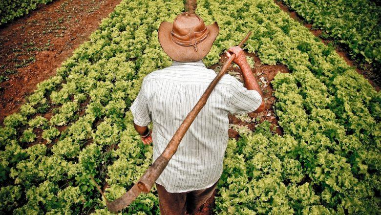 Governo muda regras de empréstimo a agricultores