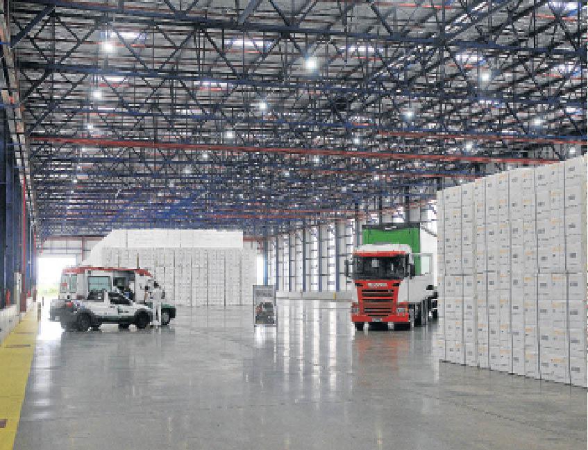 Setor de celulose amplia exportação em 9,4% no Estado