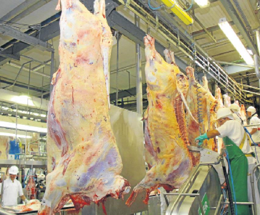 Frigoríficos de MS elevam contratações com 1,3 mil vagas