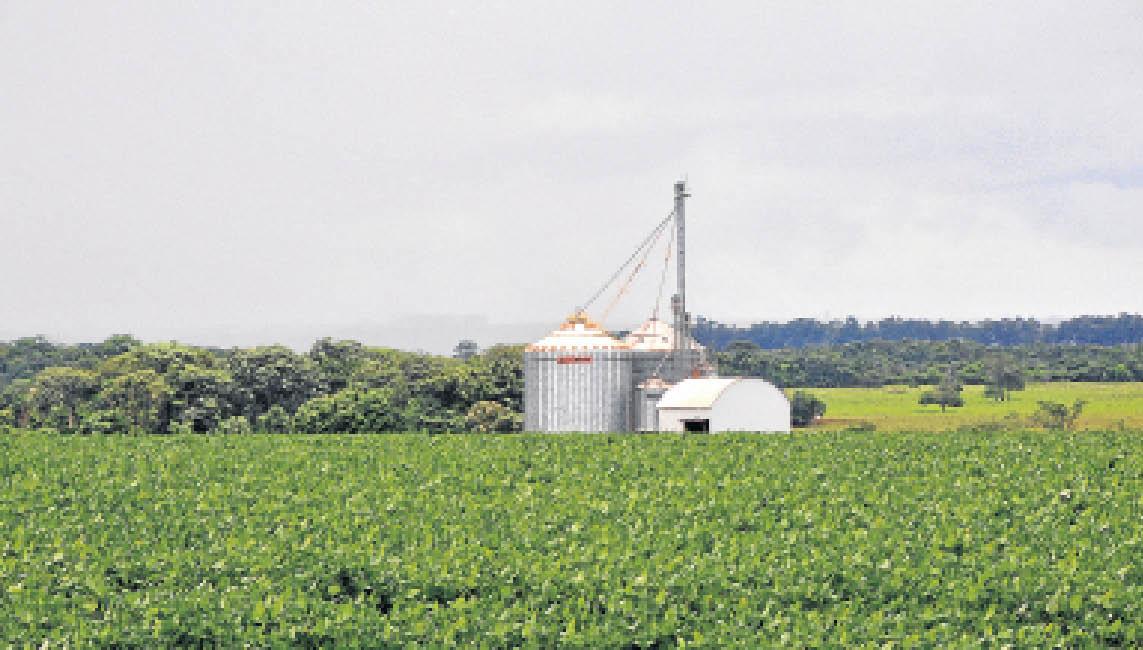 MS se prepara para nova supersafra de soja