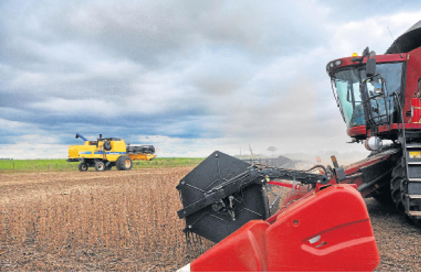 Soja deve render mais de R$ 9 bilhões a Mato Grosso do Sul